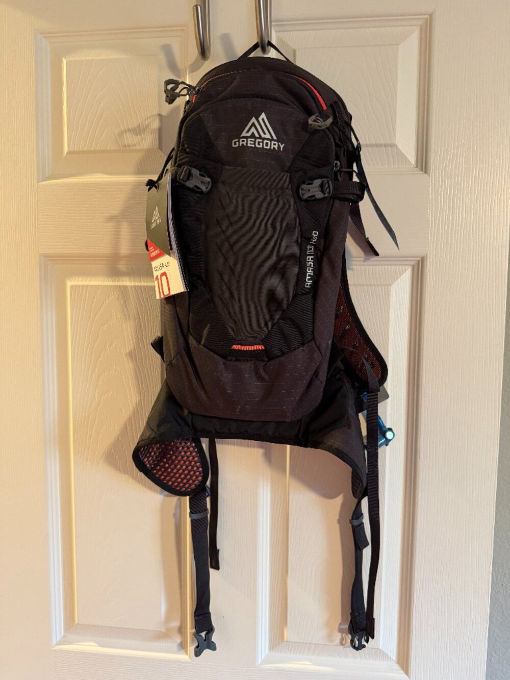 Gregory Amasa H2O 10 Liter Mountain Bike Hydration Backpack